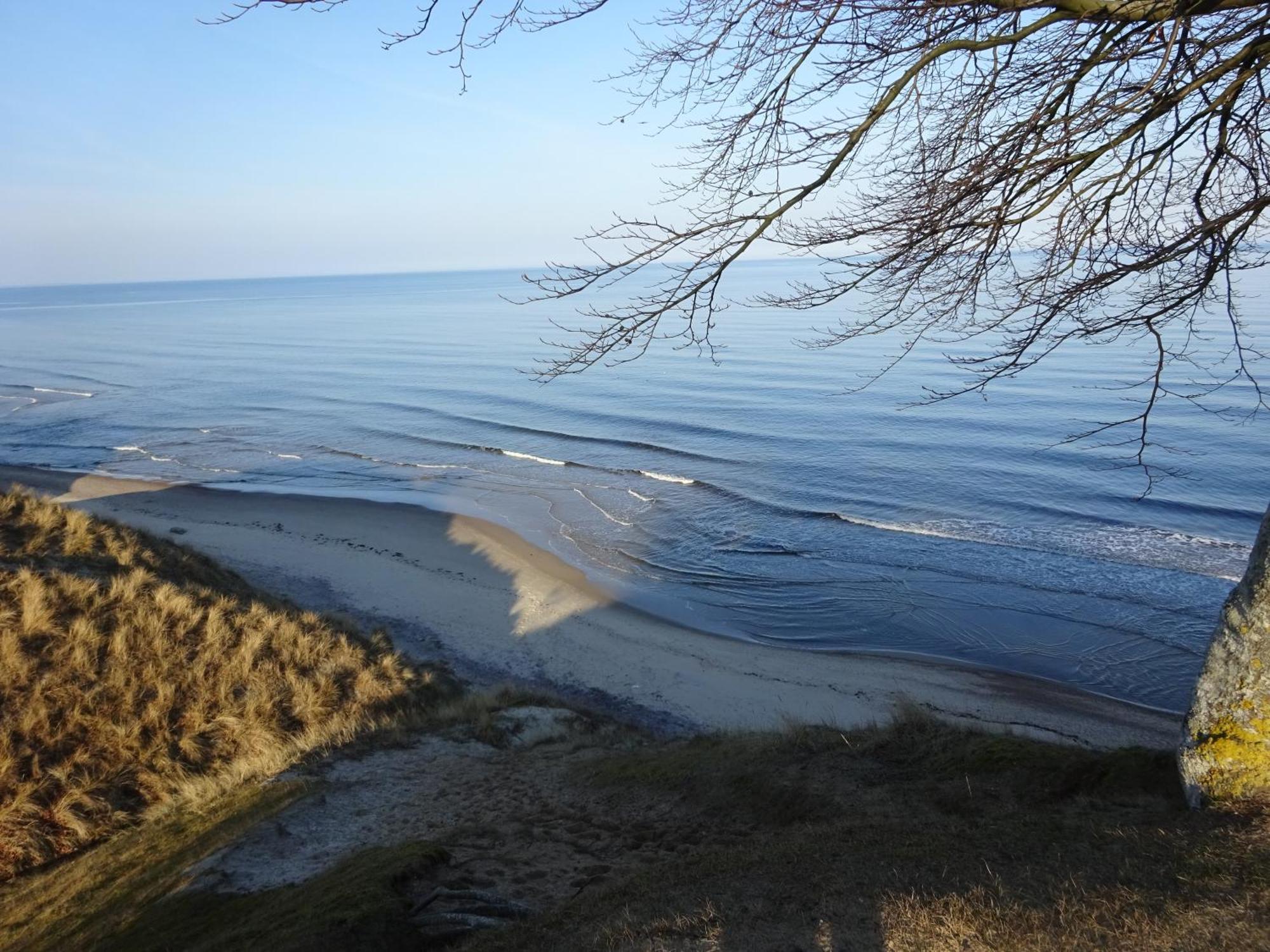 Solrosen I Simrishamn - Oesterlen Bagian luar foto