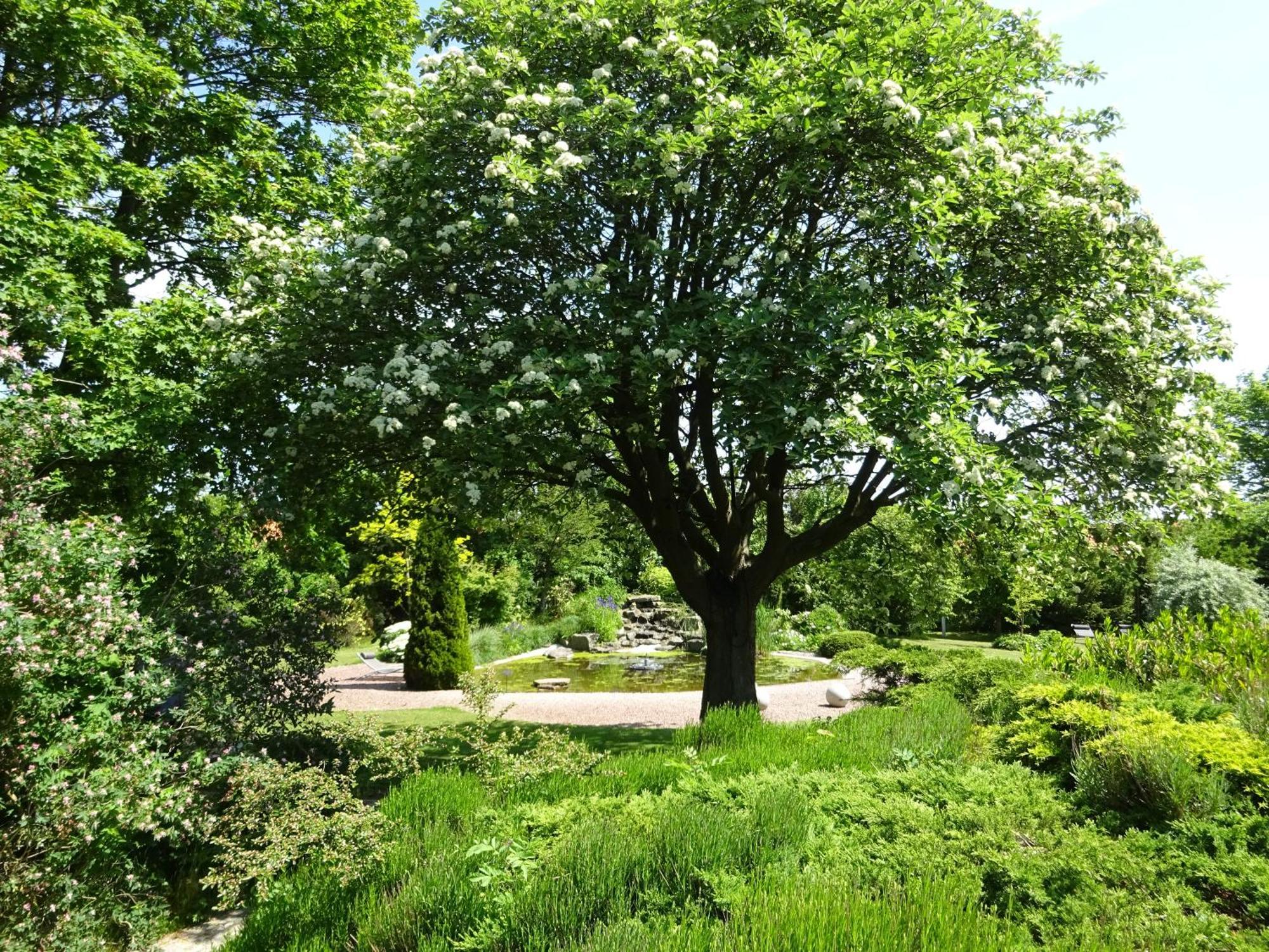 Solrosen I Simrishamn - Oesterlen Bagian luar foto