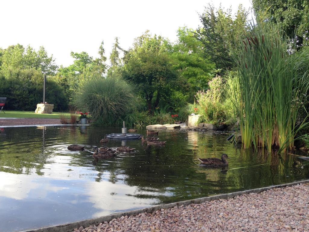 Solrosen I Simrishamn - Oesterlen Bagian luar foto