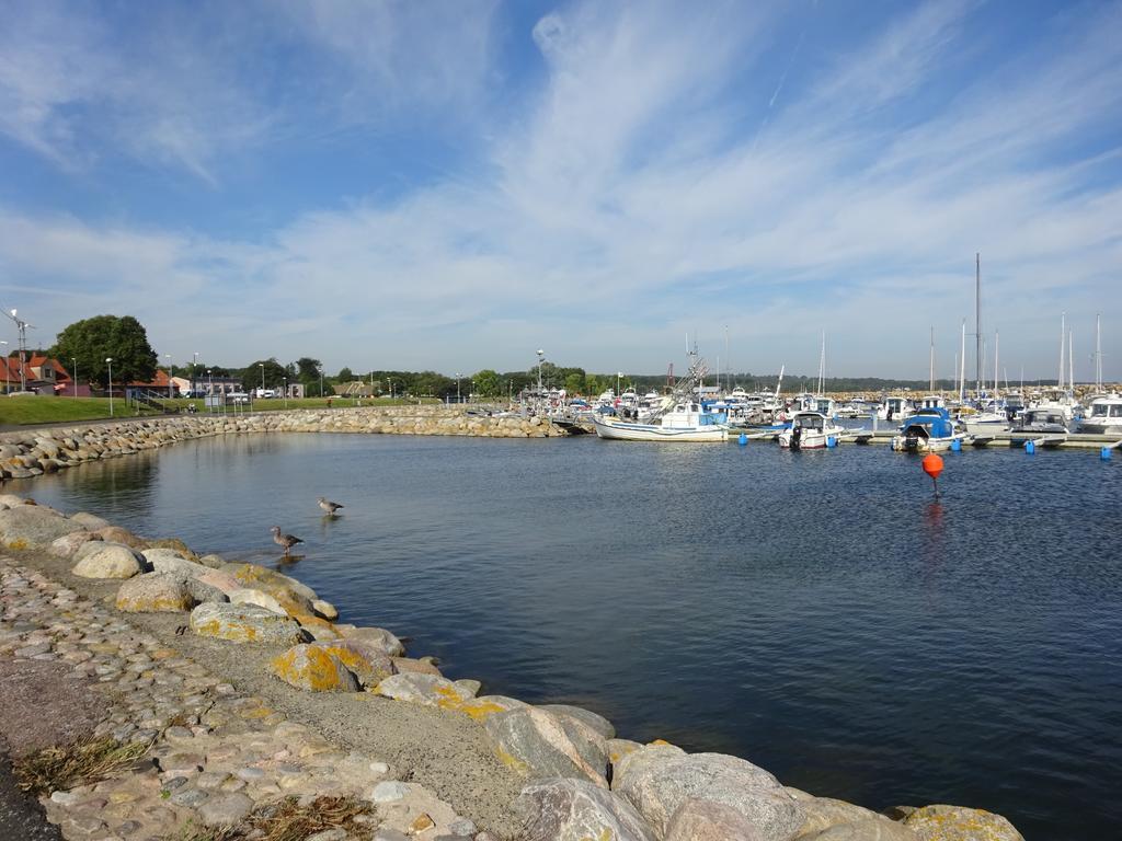 Solrosen I Simrishamn - Oesterlen Bagian luar foto